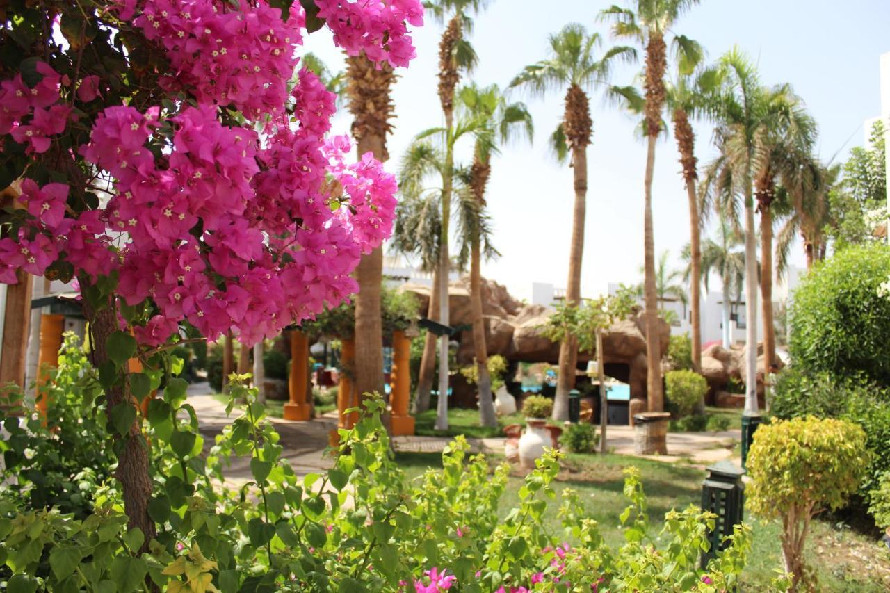 Herrmes Hospitality Sharm el-Sheikh Exteriör bild